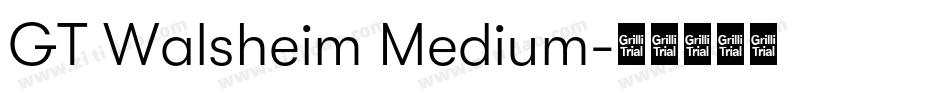 GT Walsheim Medium字体转换